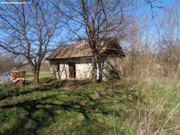 Eladó földterület Sárfimizdó, 	Szőlőhegyi út