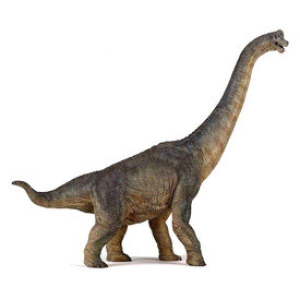 Papo brachiosaurus dínó 55030