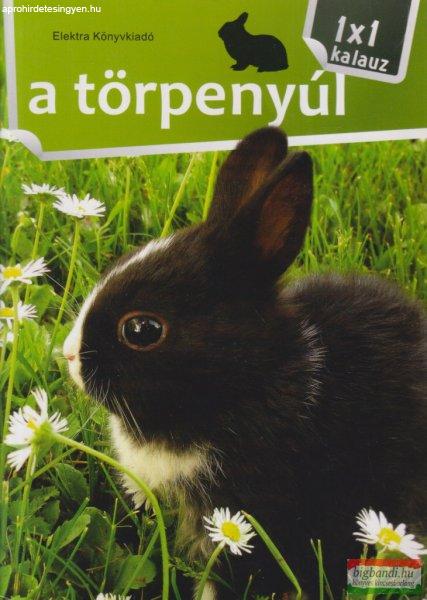 A törpenyúl - 1 x 1 kalauz