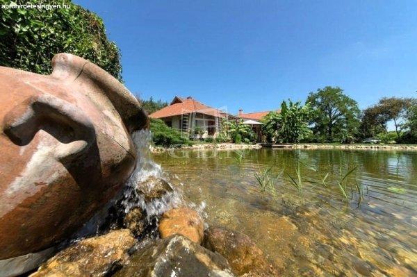 Eladó családi ház Tápióbicske, 	Természet közeli LUXUS birtok!