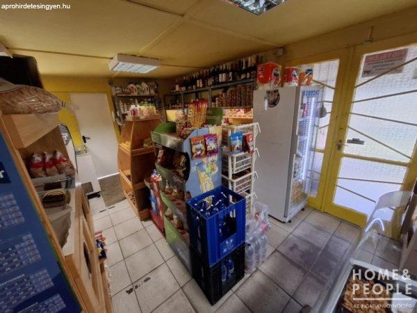 Subasán könnyűszerkezetes ház eladó! - Szeged