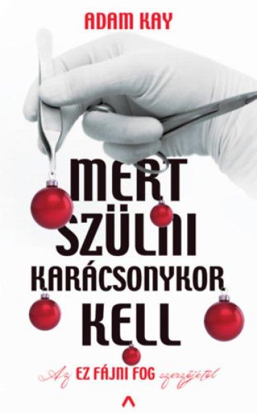 Mert szülni karácsonykor kell - Adam Kay