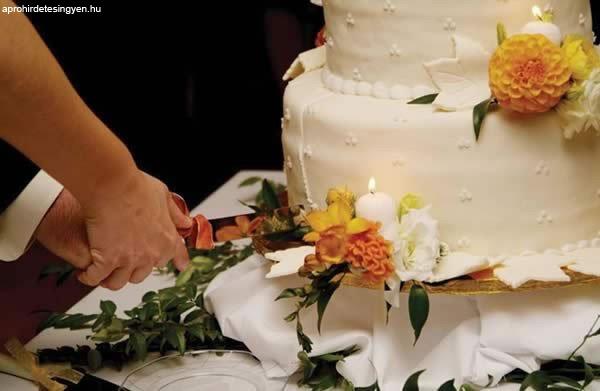 CakePro - Sütemény díszítő szett