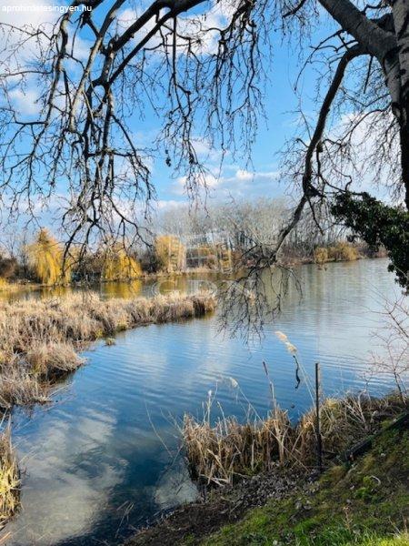 Eladó telek Szigetcsép, 	Dunasor út