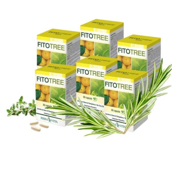 FitoTree Baktériumölő 60 kapszula Maxi Pack (6db) - Natur Tanya