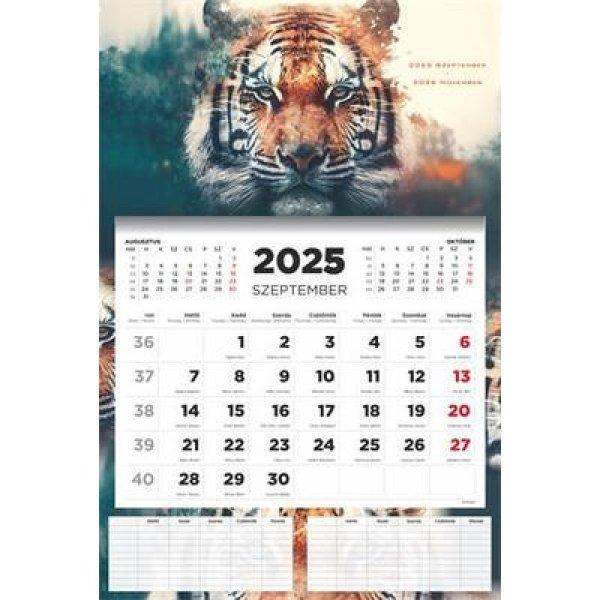 Naptár, fali, diák, 2025/2026 tanév, TOPTIMER, "Tiger"
