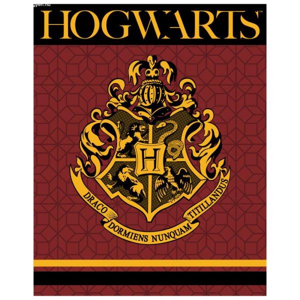 Harry Potter Crest coral fleece polár takaró 120x150cm