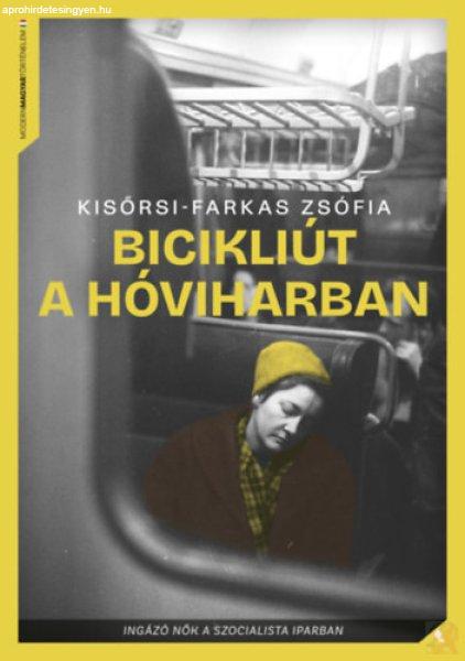 BICIKLIÚT A HÓVIHARBAN
