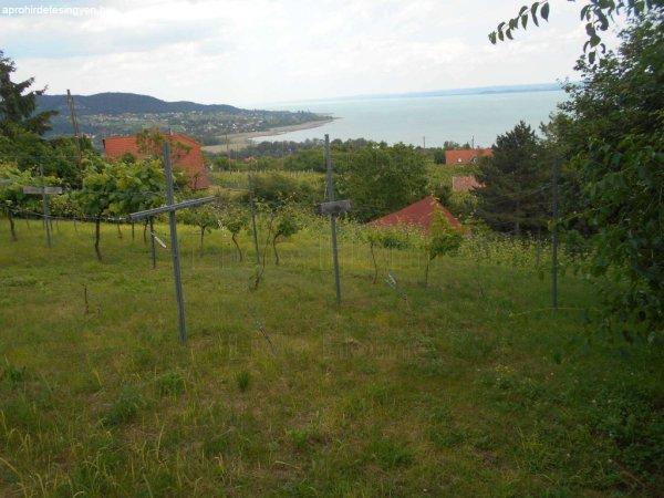 Badacsonyról Balatoni panoráma, új tulajdonosára vár ma! - Badacsonytomaj