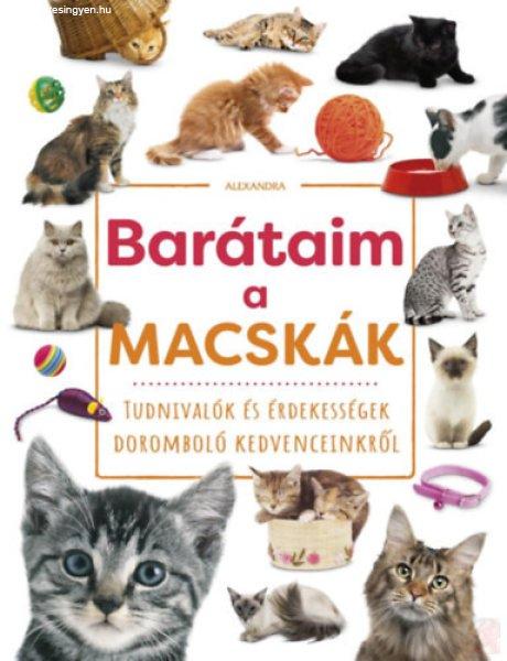 BARÁTAIM, A MACSKÁK