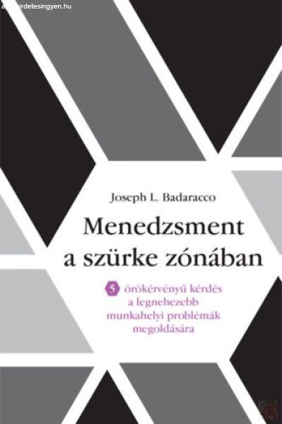 MENEDZSMENT A SZÜRKE ZÓNÁBAN