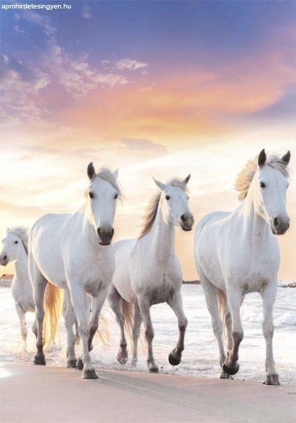 Lovas Gallop A/4 gumis mappa