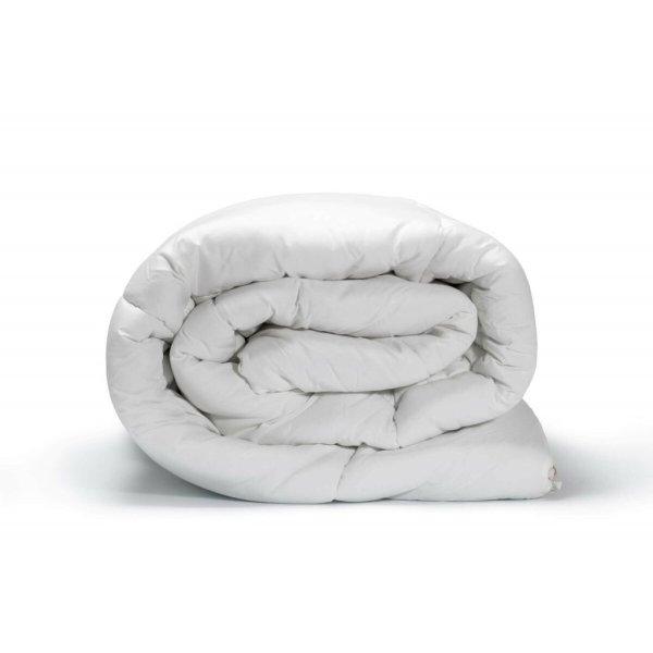 Paplan SG Hogar Relleno nórdico 125+250gr Fehér 120 + 250 g/m² 260 x 240 cm
260 x 3 x 240 cm MOST 106323 HELYETT 84049 Ft-ért!