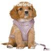 Kutyahm Trixie Junior Halvnylila M/L MOST 10047 HELYETT 54