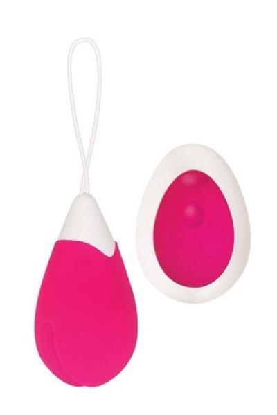 Evolved Remote Control Egg
