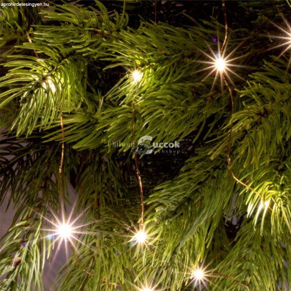 Home ML26WW micro LED fényfüzér, beltéri kivitel, 20 db melegfehér micro
LED, 1,9 m füzérhossz, elemes