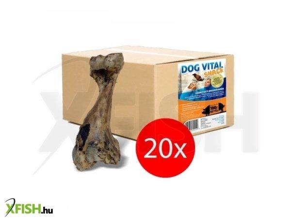 Dog Vital Disznócupák 20db/karton