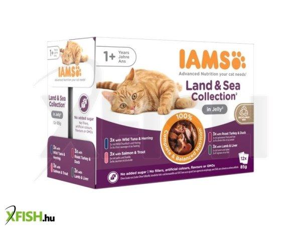 Iams cat delights land&sea in jelly multipack, többféle íz, zamatos aszpikban
12x85g, 1 db/csomag