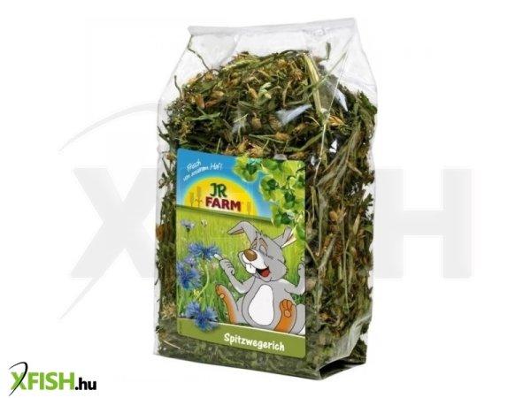 JR Farm Lándzsás útifű 100g