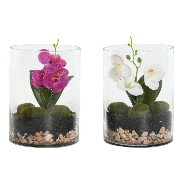 Dekor növény Home ESPRIT PVC Kristály 15 x 15 x 20 cm (2 egység) MOST 24448
HELYETT 14311 Ft-ért!