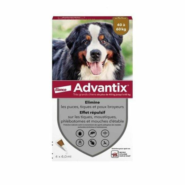 Pipetta kutyáknak Advantix 86115913 40-60 Kg 6 egység MOST 47690 HELYETT 34666
Ft-ért!