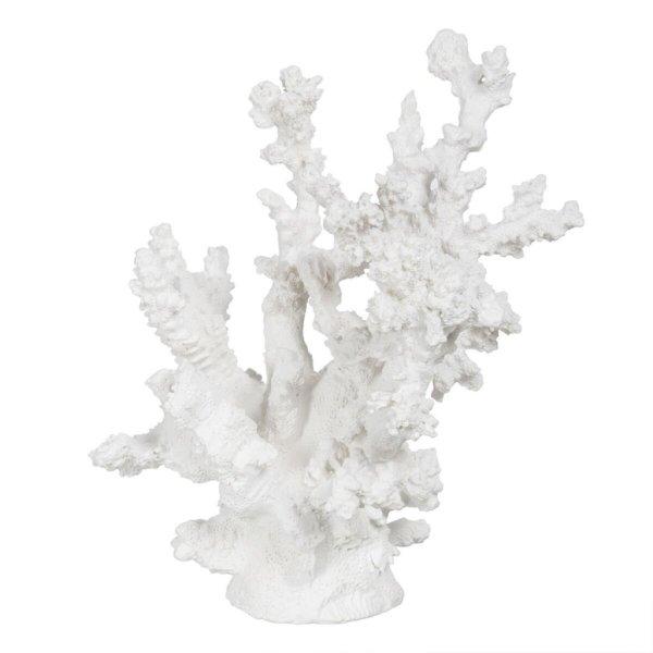 Dekoratív Figura Fehér Gyanta Korall 17 x 17 x 20 cm MOST 17944 HELYETT 10740
Ft-ért!