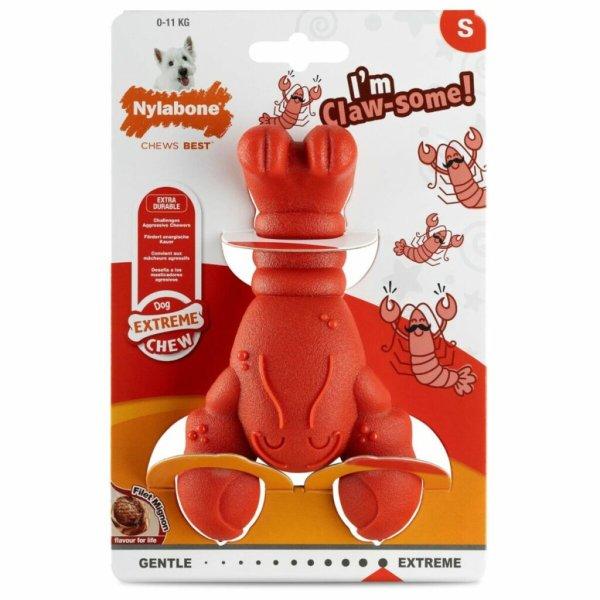 Kutya játék Nylabone Piros Marha- és borjúhús Mesterséges S MOST 15005
HELYETT 8979 Ft-ért!