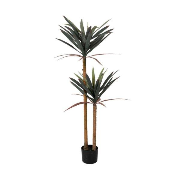 Dekor növény Gumi polipropilén Yuca 40 x 40 x 125 cm MOST 60869 HELYETT 37353
Ft-ért!