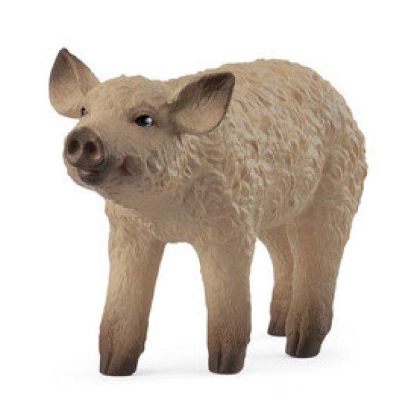 Schleich Mangalica Kölyök