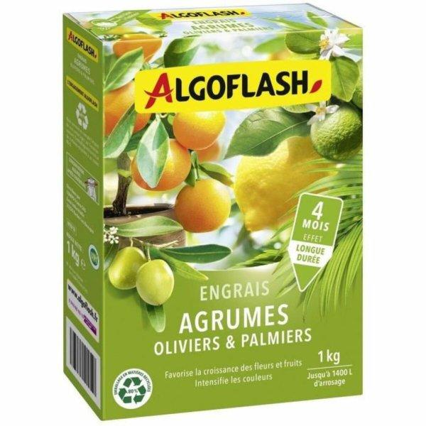 Növényeknek való műtrágya Algoflash Naturasol Olajbogyó Pálmafa
Citrusfélék 1 kg MOST 35926 HELYETT 23621 Ft-ért!