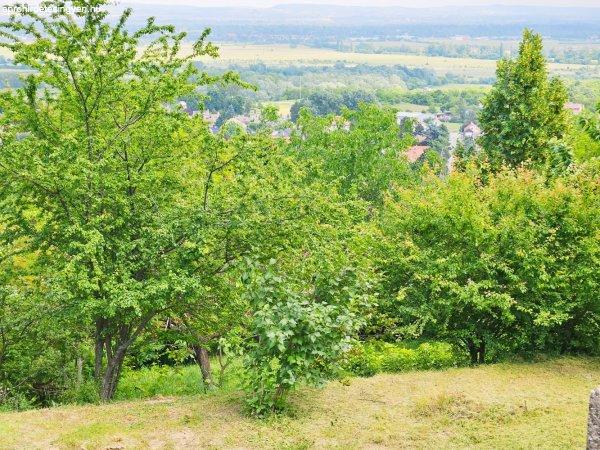 Pomáz Messelia részén gyönyörű örök panorámás közművesített
lakóövezeti építési telek eladó.
