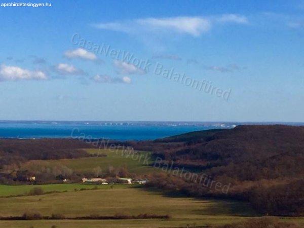 Minőségi panorámás szőlő birtok - Vászoly