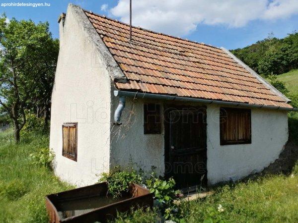 Eladó 2 darab présház, hozzátartozó 6299 nm területtel - Monostorapáti