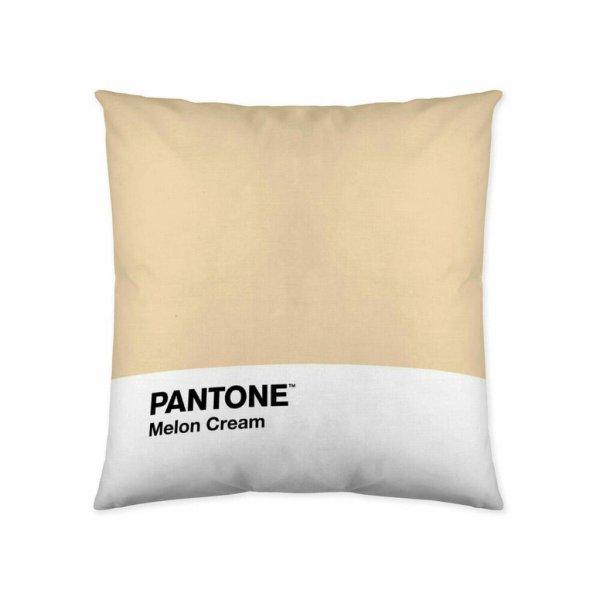 Párnahuzat Melon Cream Pantone 63836415 50 x 50 cm MOST 13922 HELYETT 3530
Ft-ért!
