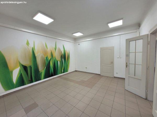 Kiadó 140 nm-es Felújított Családi ház Győr