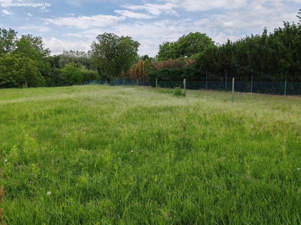 Közvetlen vízparti 842 m2-es zártkert eladó Szolnokon a Patkó utcában!