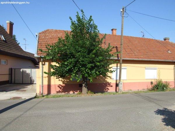 Kiadó 110 nm-es Családi ház Gyula
