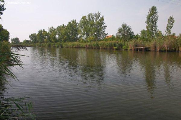 Eladó Halastó Gyomaendrőd