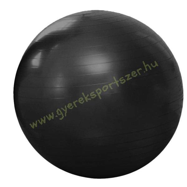 Gimnasztikai labda PUMPÁVAL Durranásmentes 45 cm Fekete PRO-Sport