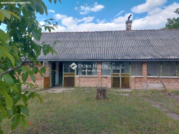 Eladó tanya és szilvafa ültetvény Izsák Gedeon dűlőben