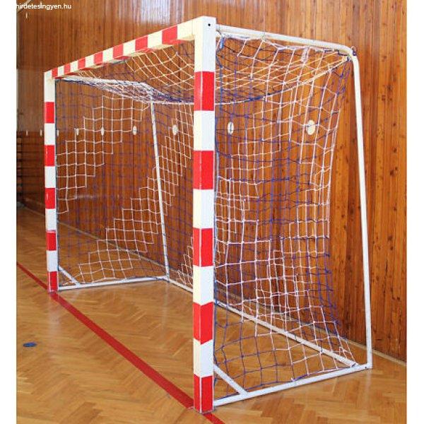 Practice Dual handball net variant 40502