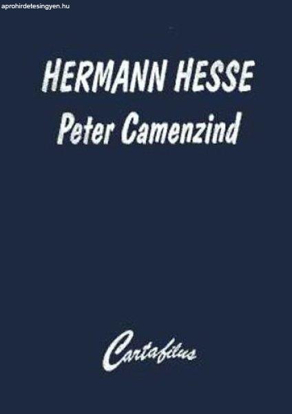 Peter Camenzind - Hermann Hesse