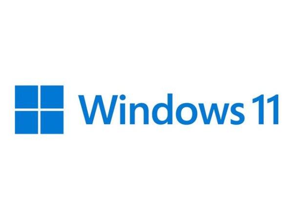 MS ESD Windows Professional 11 64-bit All Languages Online Product Key License 1
License Downloadable ESD NR