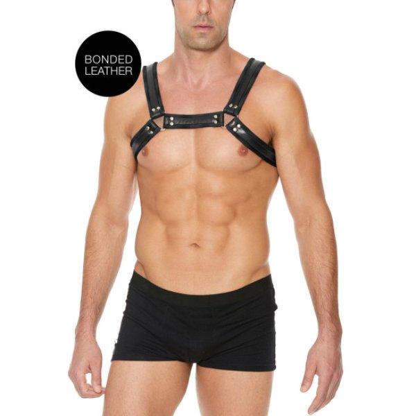 Ouch! by Shots Leather Bulldog Harness with Buckles - S/M