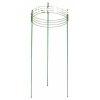 Climber plant climbing frame length 60 cm