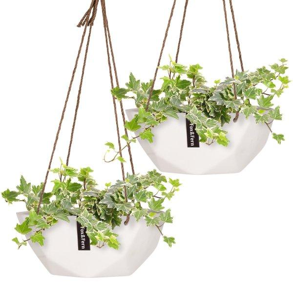 Blumfeldt Laren, függő virágcserép, Ø 28 cm, poliszton, természetes
kötelekkel, 2 darabos készlet