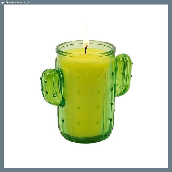 Kaktusz Formájú Citronella Illatú Gyertya – Természetes Szúnyogriasztó
CACLITE_ZE