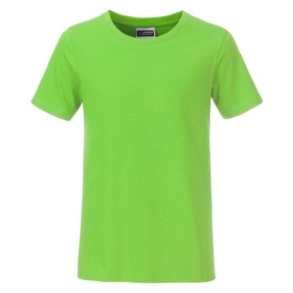 James & Nicholson (Daiber) Klasszikus fiú biopamut póló 8008B - Limezöld |
XXL