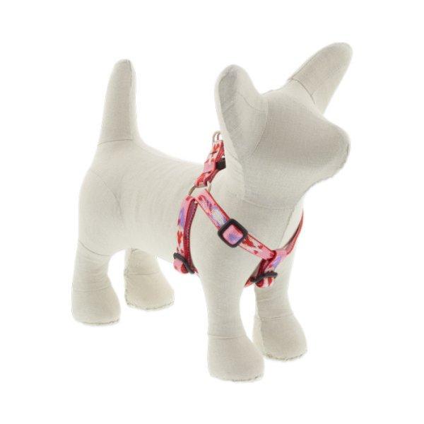 Lupine Step-in hám (Lovable Gnomes 1,25 cm széles 31-45 cm)