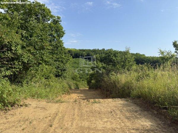 Eladó telek Bocfölde, 	Eladó Motocross és Enduro pálya!